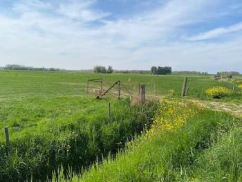 Foto: Losse grond: Steenplaats 